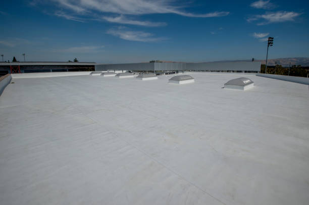 Best 4 Ply Roofing  in Grants, NM