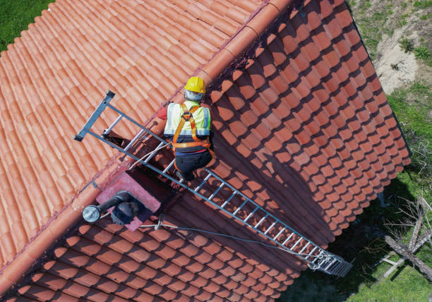 Best Roof Moss and Algae Removal  in Grants, NM