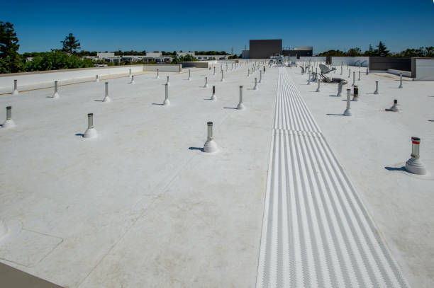 Best Cold Roofs  in Grants, NM